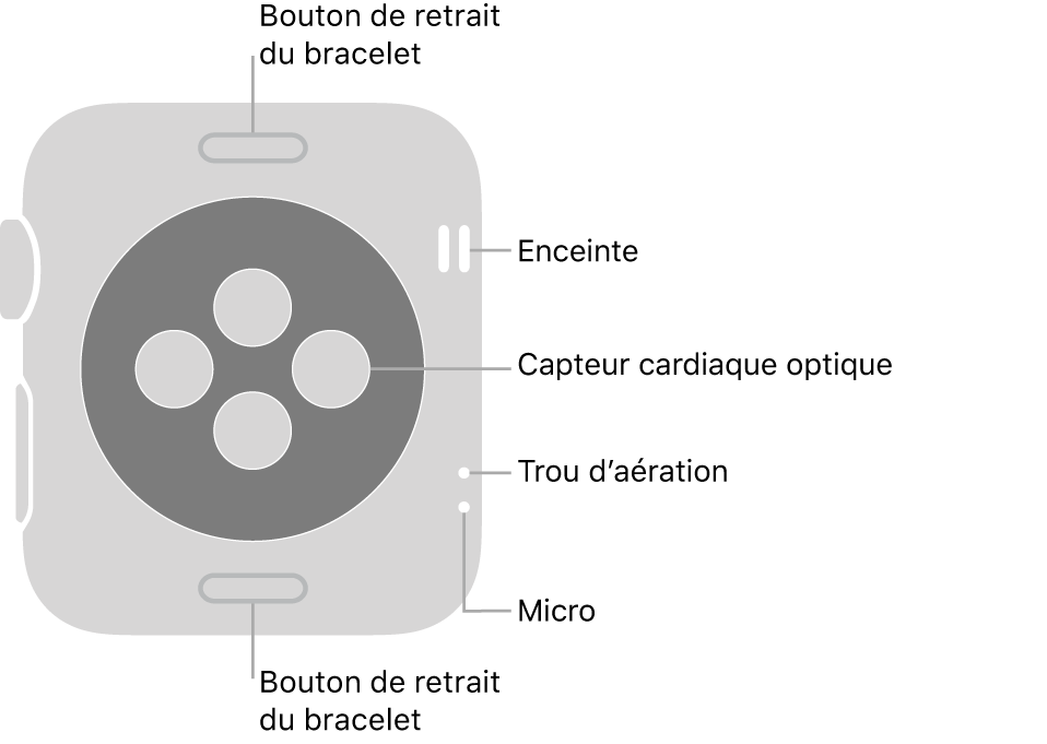 L’arrière de l’Apple Watch Series 3, avec les boutons de retrait du bracelet en haut et en bas, les capteurs optiques de fréquence cardiaque au milieu ainsi que, de haut en bas près du côté de la montre, le haut-parleur, l’aération et le micro.
