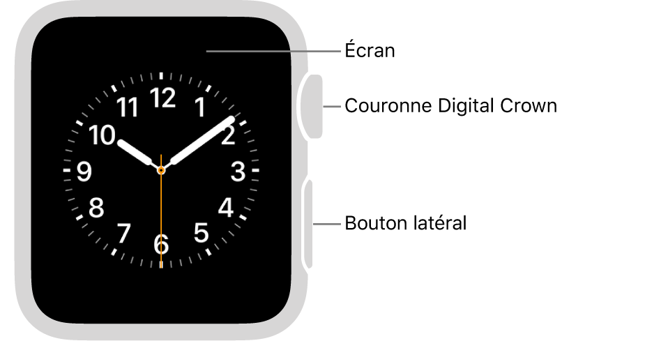 L’avant de l’Apple Watch Series 3, avec l’écran affichant le cadran, et sur le côté de la montre la Digital Crown et le bouton latéral.