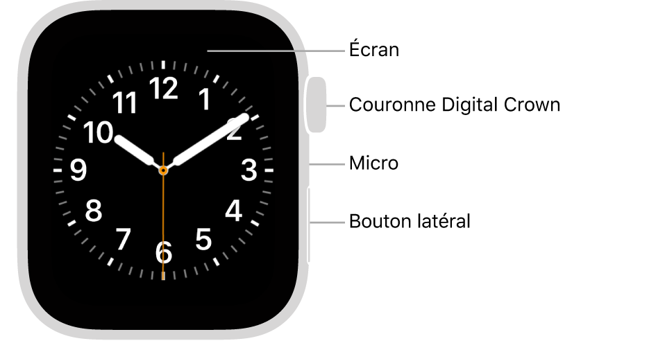 L’avant de l’Apple Watch Series 4 et de l’Apple Watch Series 5, avec l’écran affichant le cadran, et sur le côté des montres, de haut en bas, la Digital Crown, le micro et le bouton latéral.
