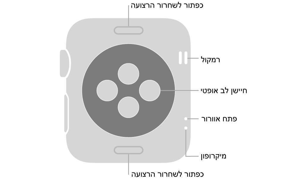 החלק האחורי של דגם Apple Watch Series 3 עם כפתורי שחרור הרצועה למעלה ולמטה, חיישני הדופק האופטיים בחלק המרכזי והרמקול, פתח האוורור והמיקרופון מלמעלה כלפי מטה בסמוך לצד.