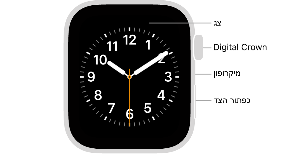 החזית של Apple Watch SE, כשעל הצג נראה עיצוב השעון, וה-Digital Crown, המיקרופון וכפתור הצד מלמעלה למטה בצדו של השעון.
