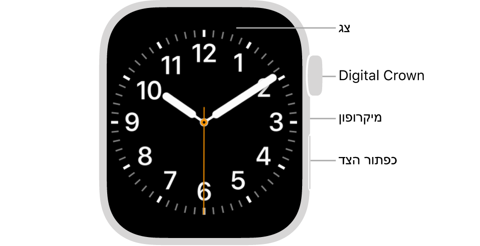 החזית של Apple Watch Series 7, כשעל הצג נראה עיצוב השעון, וה-Digital Crown, המיקרופון וכפתור הצד מלמעלה למטה בצדו של השעון.