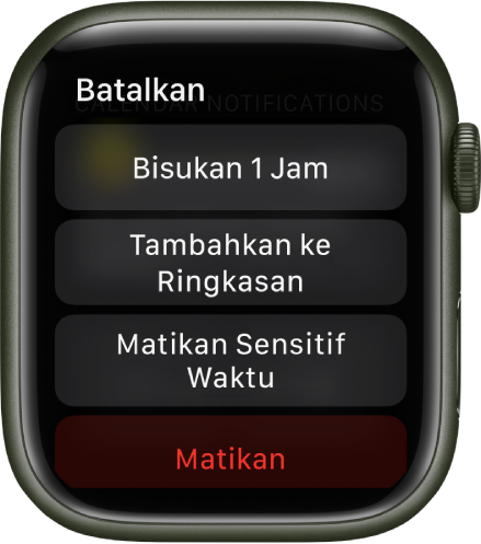 Pengaturan Pemberitahuan di Apple Watch. Tombol atas bertuliskan "Bisukan 1 Jam”. Di bawahnya terdapat tombol Tambahkan ke Ringkasan, Matikan Sensitif Waktu, dan Matikan.