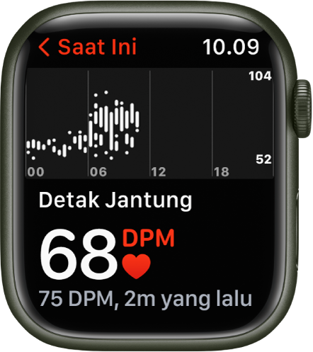 Layar app Detak Jantung, dengan detak jantung saat ini ditampilkan di bagian kiri bawah, pengukuran terakhir Anda dalam huruf yang lebih kecil di bawahnya, dan bagan di atas yang memerinci detak jantung Anda sepanjang hari.