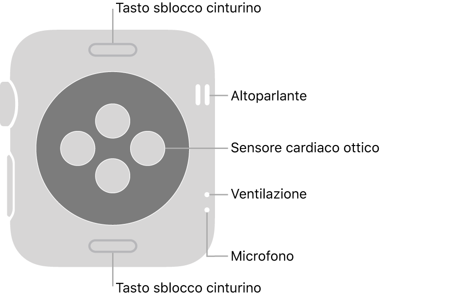 La parte posteriore di Apple Watch Series 3, con i pulsanti di sblocco del cinturino in alto e in basso, i sensori ottici per il cuore in mezzo, e l’altoparlante, i condotti di ventilazione e il microfono dall'alto in basso vicino al lato.