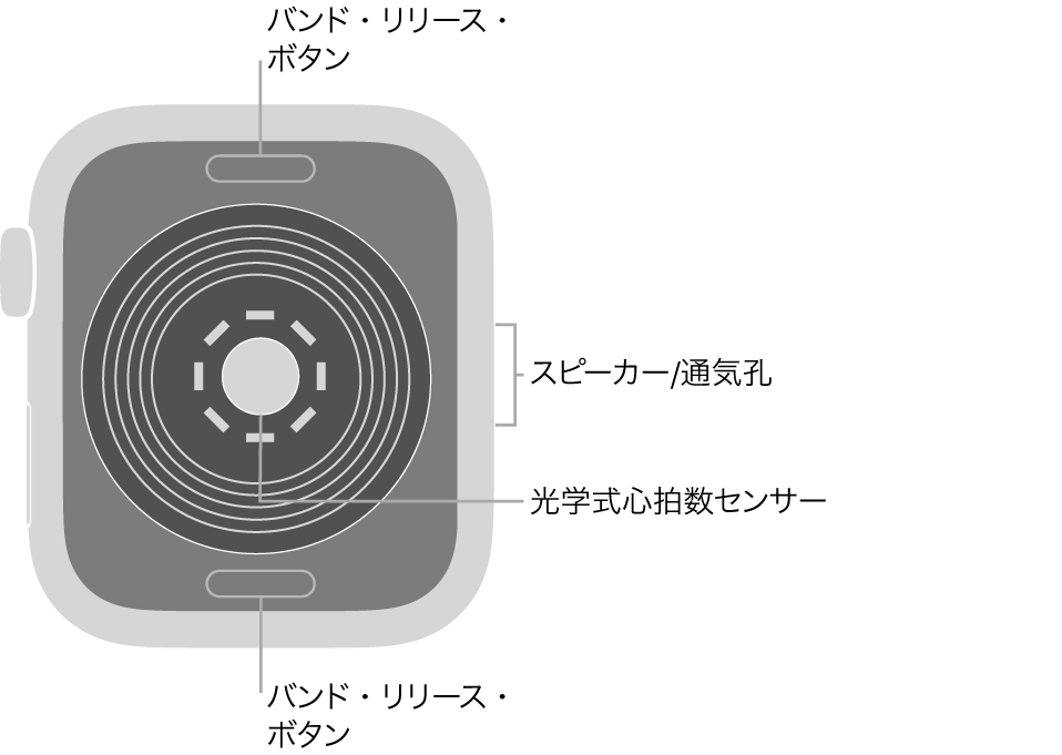 Apple Watch SEの背面で、上下にバンド・リリース・ボタン、中央に光学式心拍数センサー、側面にはスピーカー/通気孔があります。