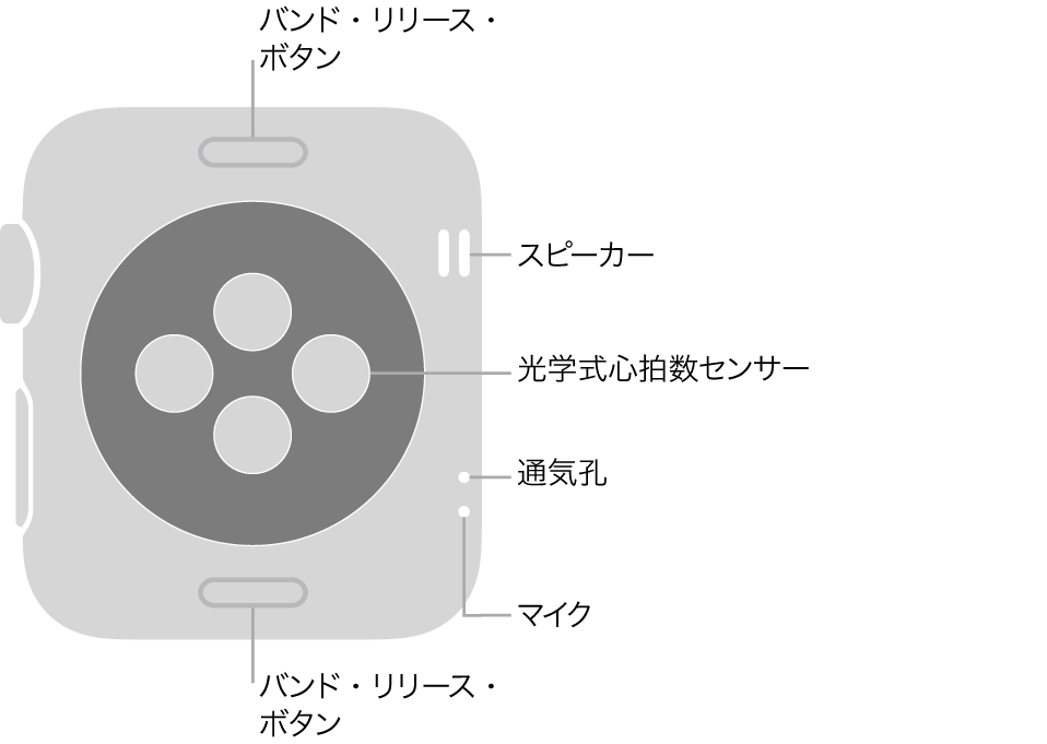 Apple Watch Series 3の背面で、上下にバンド・リリース・ボタン、中央に光学式心拍数センサー、側面付近には上から順にスピーカー/通気孔およびマイクがあります。