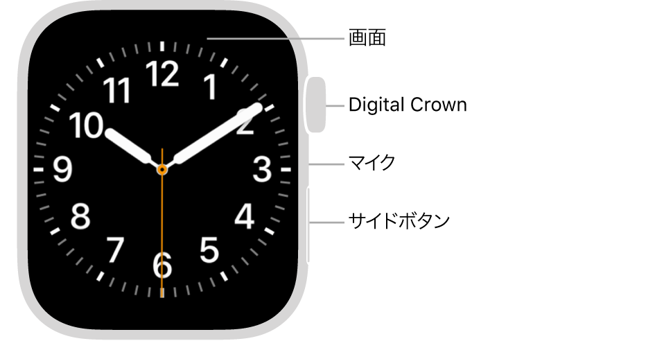 Apple Watch Series 7の前面で、ディスプレイに文字盤が表示され、側面には上から順にDigital Crown、マイク、サイドボタンがあります。