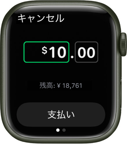 「メッセージ」画面。Apple Cashでの支払い準備ができたことを示しています。上部にドルの金額が表示されています。下に現在の残高、一番下に「支払う」ボタンがあります。