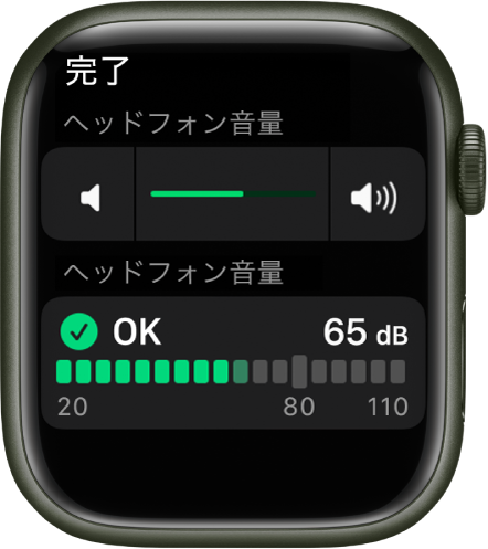 「ヘッドフォン音量」画面。上部に音量コントロール、下部にメーターがあり、現在のヘッドフォン音量が表示されています。音量は65 dBで、「OK」のマークが付いています。