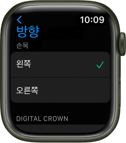 Apple Watch 방향 화면. 손목 및 Digital Crown 환경설정을 설정할 수 있음.