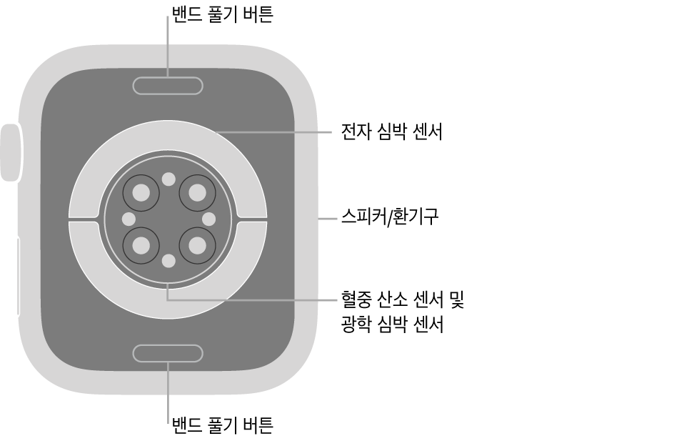 상단과 하단의 밴드 풀기 버튼, 중앙의 전자 심장 센서와 광학 심장 센서와 혈중 산소 센서, 측면의 스피커/환기구가 보이는 Apple Watch Series 7의 후면.