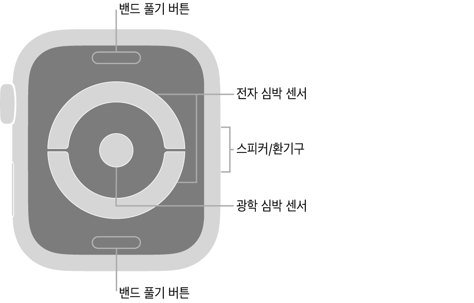 시계 상단과 하단의 밴드 풀기 버튼, 중앙의 전자 심장 센서와 광학 심장 센서, 측면의 스피커/환기구가 보이는 Apple Watch Series 4 및 Apple Watch Series 5의 후면.