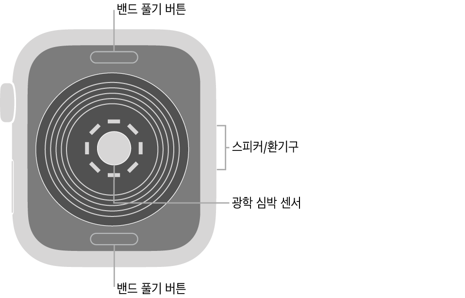 상단과 하단의 밴드 풀기 버튼, 중앙의 광학 심장 센서, 측면의 스피커/환기구가 보이는 Apple Watch SE의 후면.