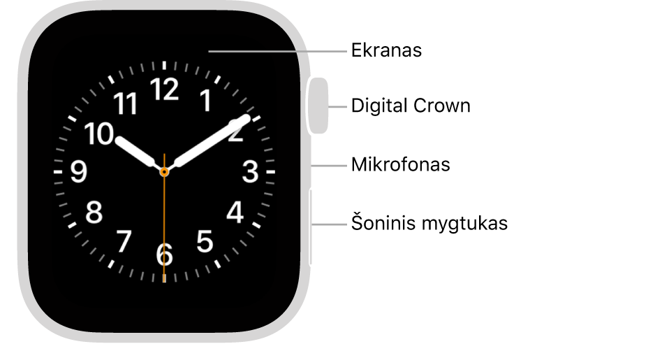 „Apple Watch Series 6“ priekis, ekrane rodomas ciferblatas, taip pat matyti „Digital Crown“, mikrofonas ir laikrodžio šone nuo viršaus iki apačios išdėstytas šoninis mygtukas.