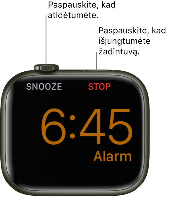 Ant šono padėtas „Apple Watch“, kurio ekrane rodomas aktyvus žadintuvas. Po „Digital Crown“ pateiktas žodis „Snooze“. Žodis „Stop“ pateiktas po šoniniu mygtuku.