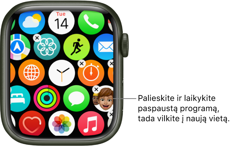 „Apple Watch“ pagrindinio ekrano tinklelio rodinys.