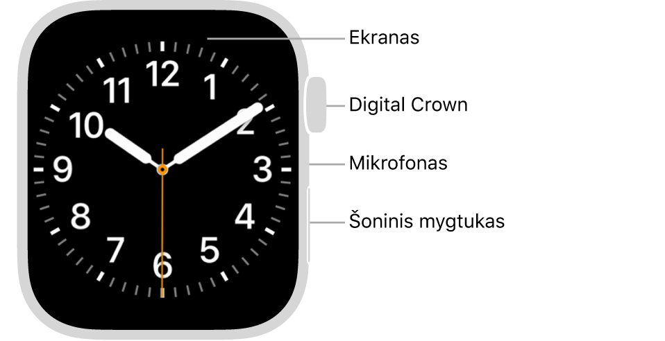 „Apple Watch Series 7“ priekis, ekrane rodomas ciferblatas, taip pat matyti „Digital Crown“, mikrofonas ir laikrodžio šone nuo viršaus iki apačios išdėstytas šoninis mygtukas.