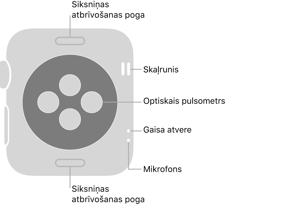 Apple Watch Series 3 pulksteņa aizmugure ar siksniņas atbrīvošanas pogām augšā un apakšā, optisko pulsometru vidū un skaļruni, gaisa atverēm un mikrofonu sānā no augšas uz leju.