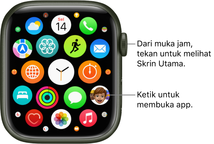 Skrin Utama dalam paparan grid pada Apple Watch, dengan app dalam kelompok. Ketik app untuk membukanya. Seret untuk melihat lebih banyak app.