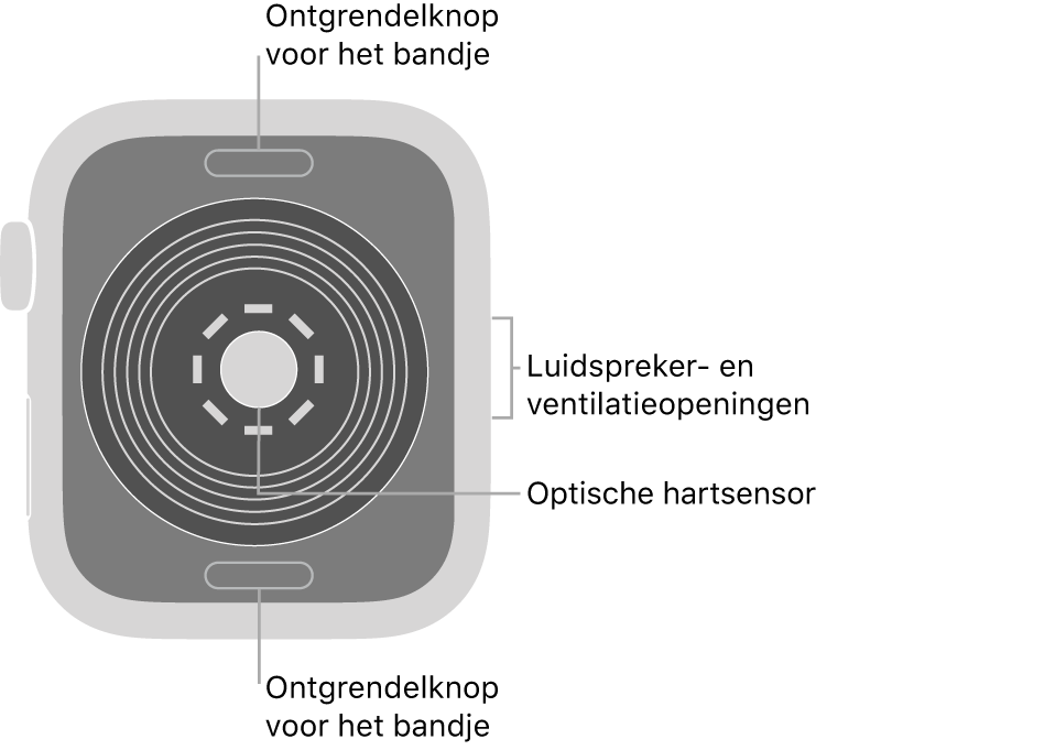 De achterkant van de Apple Watch SE, met aan de boven- en onderkant de ontgrendelknoppen van het bandje, in het midden de optische hartsensor en aan de zijkant de luidspreker- en ventilatieopeningen.