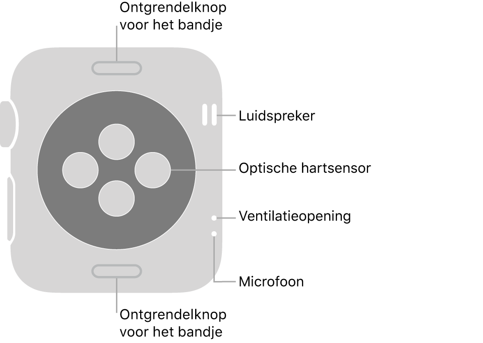 De achterkant van de Apple Watch Series 3, met aan de boven- en onderkant de ontgrendelknoppen van het bandje, in het midden de optische hartsensoren en aan de zijkant, van boven naar beneden, de luidspreker, ventilatieopeningen en microfoon.