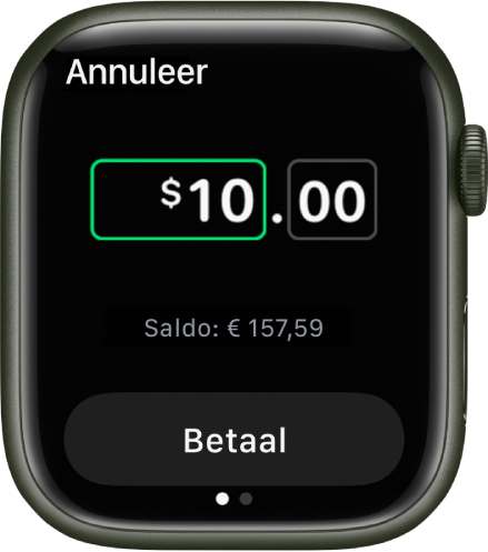 Een Berichten-scherm met een bericht dat een Apple Cash-betaling wordt voorbereid. Bovenaan bevindt zich een bedrag in dollars. Daaronder staat het huidige saldo en onderin staat de knop 'Betaal'.