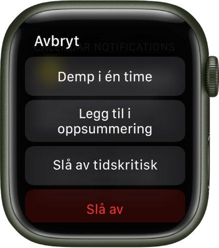 Varslinger-innstillinger på Apple Watch. På knappen øverst står det «Demp i én time». Under vises knapper for Legg til i oppsummering, Slå av Tidskritisk, og Slå av.