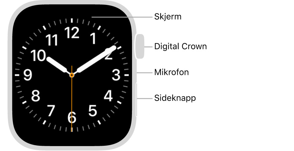 Forsiden av Apple Watch Series 7, der skjermen viser urskiven, og Digital Crown, mikrofonen og sideknappen fra øverst til nederst på siden av klokken.