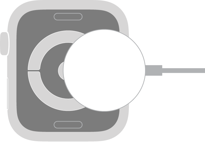 Den konkave enden av den magnetiske ladekabelen for Apple Watch fester seg magnetisk på baksiden av Apple Watch.