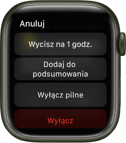 Ustawienia powiadomień na Apple Watch. U góry znajduje się przycisk Wycisz na 1 godz. Poniżej wyświetlane są przyciski Dodaj do podsumowania, Wyłącz pilne i Wyłącz.