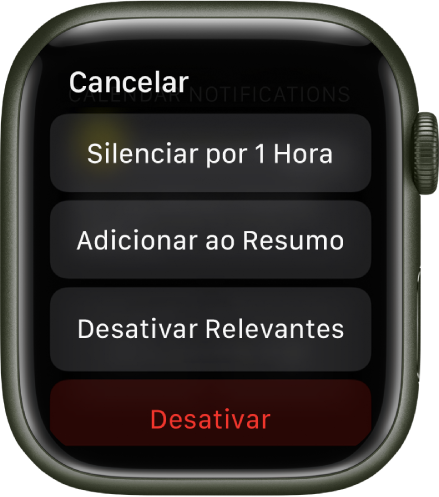 Ajustes de Notificações no Apple Watch. No botão mais acima lê-se “Silenciar por 1 Hora”. Abaixo, os botões para Adicionar ao Resumo, Desativar Relevantes e Desativar.