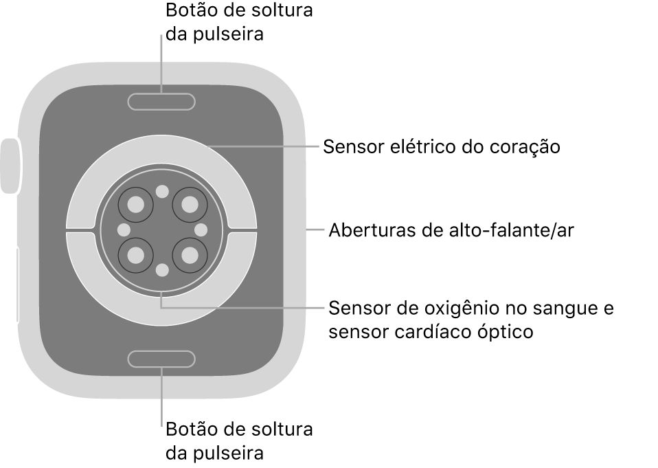 A parte traseira do Apple Watch Series 7, com os botões para soltar a pulseira na parte superior e inferior, os sensores elétricos cardíacos, os sensores ópticos cardíacos e os sensores de oxigênio no sangue no meio e alto-falante/saídas de ar na lateral.