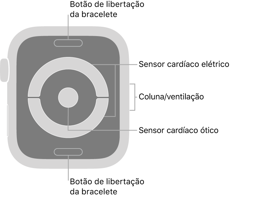 Apple Watch Series 4 e Apple Watch Series 5 visto de trás, com os botões de libertação da bracelete na parte superior e na parte inferior, os sensores cardíacos elétricos e o sensor cardíaco ótico ao meio, e a coluna/ventilação na parte lateral do relógio.