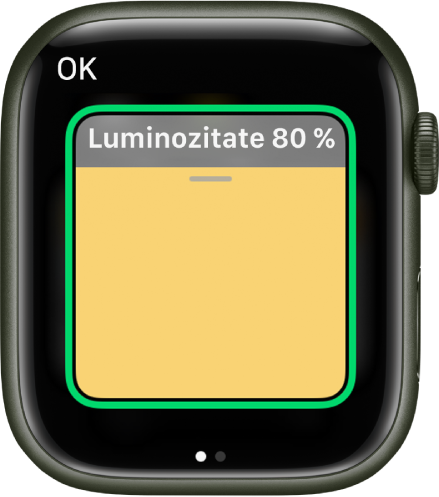 Aplicația Locuință prezentând un accesoriu de iluminare. Luminozitatea acestuia este fixată la 80% și un buton OK este în colțul din stânga sus.