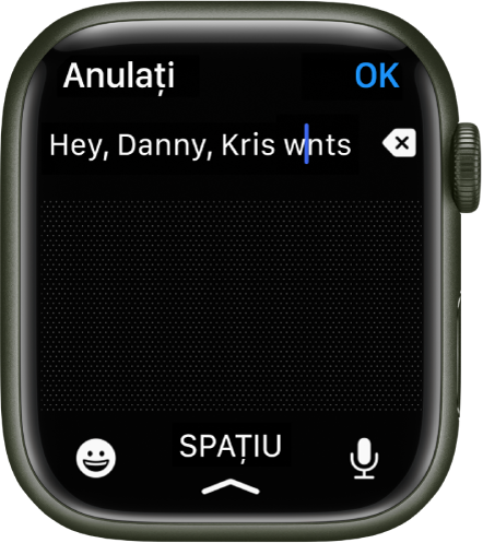 Un ecran de introducere a textului cu un cursor între două litere dintr-un cuvânt scris greșit. Butonul de ștergere se află la dreapta textului. Butoanele Emoji, Spațiu și Dictare se află jos.