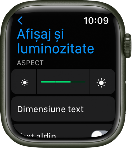 Configurările de afișaj și luminozitate de pe Apple Watch, cu glisorul Luminozitate în partea de sus și dedesubt butonul Mărime text.