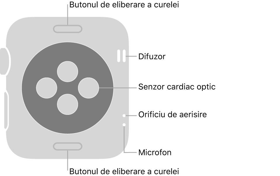 Spatele modelului Apple Watch Series 3, cu butoanele de eliberare a brățării în partea de sus și de jos, senzorii cardiaci optici în mijloc și difuzorul, orificiile de ventilare și microfonul de sus până jos, lângă partea laterală.