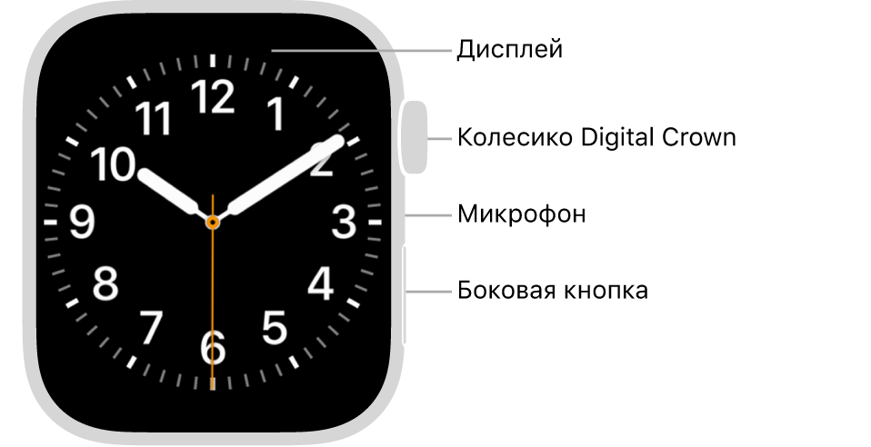 Лицевая сторона Apple Watch Series 7. На дисплее показан циферблат. Сбоку на корпусе часов показаны (сверху вниз): колесико Digital Crown, микрофон и боковая кнопка.