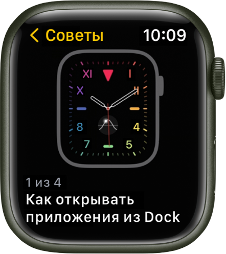 В приложении «Советы» показан совет для Apple Watch.