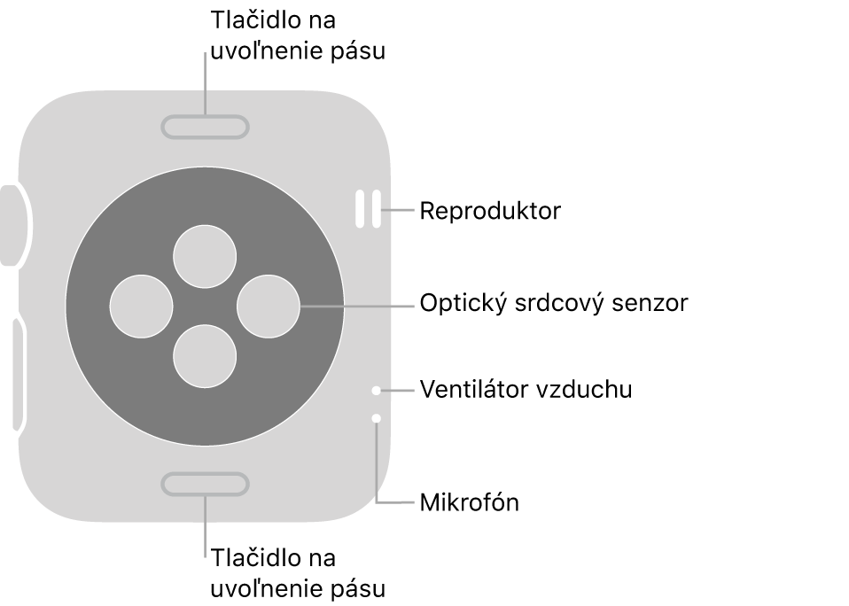 Zadná strana hodiniek Apple Watch Series 3. Navrchu a naspodku sa nachádzajú tlačidlá na uvoľnenie pásu. V strede sú umiestnené optické srdcové senzory a naboku zhora nadol sa nachádzajú reproduktor, prieduchy a mikrofón.
