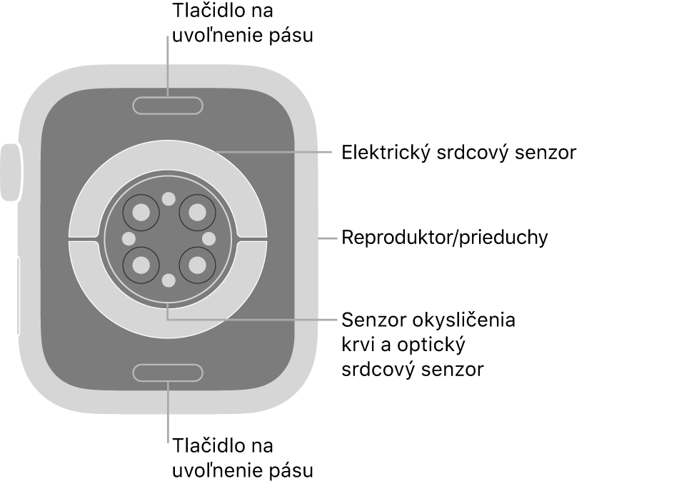 Zadná strana hodiniek Apple Watch Series 7. Navrchu a naspodku sa nachádzajú tlačidlá na uvoľnenie remienka. V strede sú umiestnené elektrické srdcové senzory, optické srdcové senzory a senzory saturácie kyslíkom a naboku reproduktor/prieduchy.