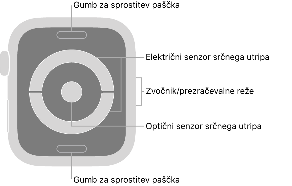 Zadnji del ur Apple Watch Series 4 in Apple Watch Series 5 z gumboma za sprostitev paščka zgoraj in spodaj, električnim in optičnim senzorjem srčnega utripa v sredini ter zvočnikom/zračniki na strani.
