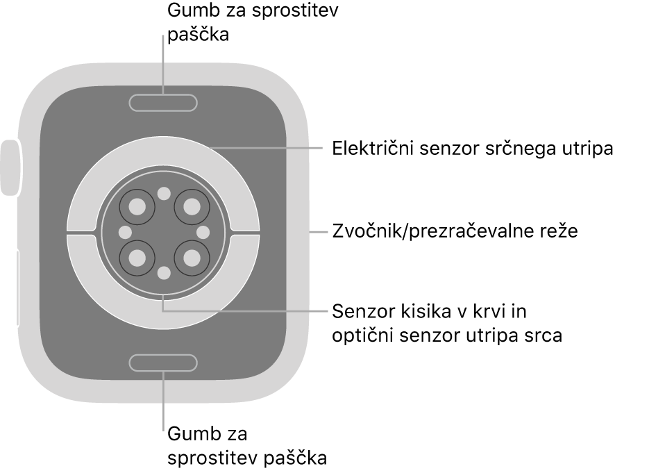 Zadnji del ure Apple Watch Series 7 z gumboma za sprostitev paščka zgoraj in spodaj, električnim senzorjem srčnega utripa, optičnimi senzorji srčnega utripa in senzorji kisika v krvi v sredini ter zvočnikom/zračniki na strani.