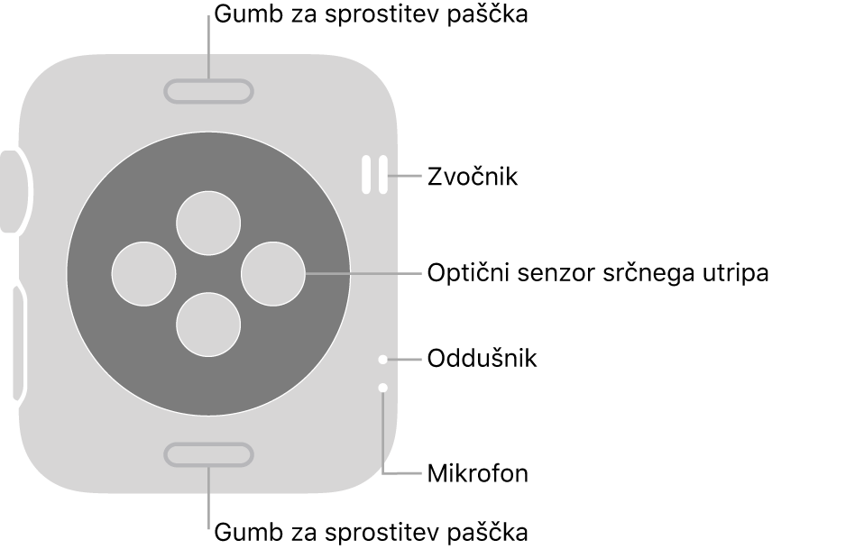 Zadnji del ure Apple Watch Series 3 z gumboma za sprostitev paščka zgoraj in spodaj, optičnim senzorjem srčnega utripa v sredini in zvočnikom, zračnikom in mikrofonom od zgoraj navzdol ob strani.