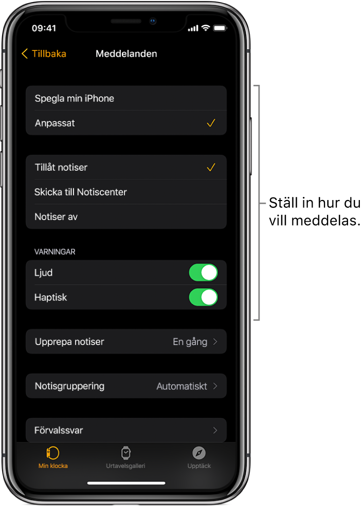 Meddelandeinställningar i Apple Watch-appen på iPhone. Du kan välja om notiser ska visas, slå på ljudet, slå på haptik och upprepa notiser.