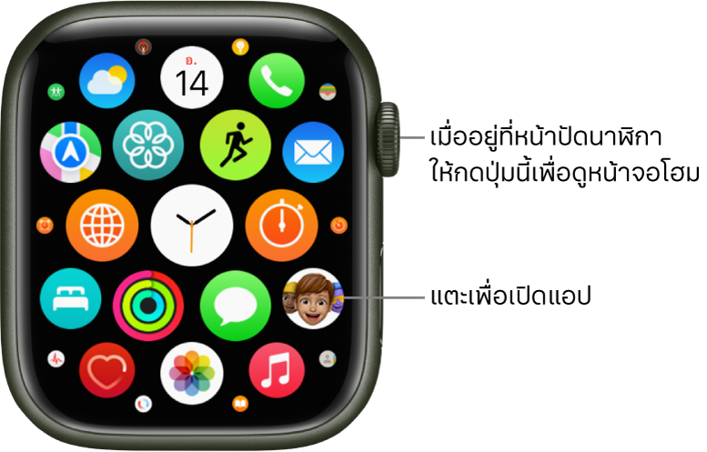 หน้าจอโฮมในมุมมองตารางบน Apple Watch ซึ่งมีแอปอยู่รวมกันเป็นกลุ่มก้อน แตะที่แอปเพื่อเปิด ลากเพื่อดูแอปเพิ่มเติม