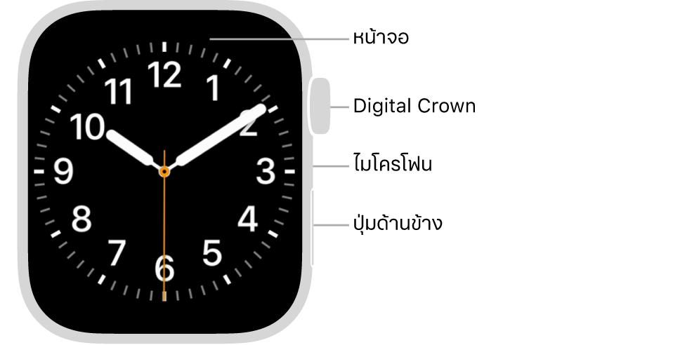 ด้านหน้าของ Apple Watch Series 7 ที่มีหน้าจอที่แสดงหน้าปัดนาฬิกา และมี Digital Crown, ไมโครโฟน และปุ่มด้านข้างอยู่ที่ด้านข้างของนาฬิกาจากด้านบนสุดถึงด้านล่างสุด