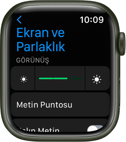 En üstte Parlaklık sürgüsü ve altında Metin Puntosu düğmesi olmak üzere Apple Watch’ta Ekran ve Parlaklık ayarları.