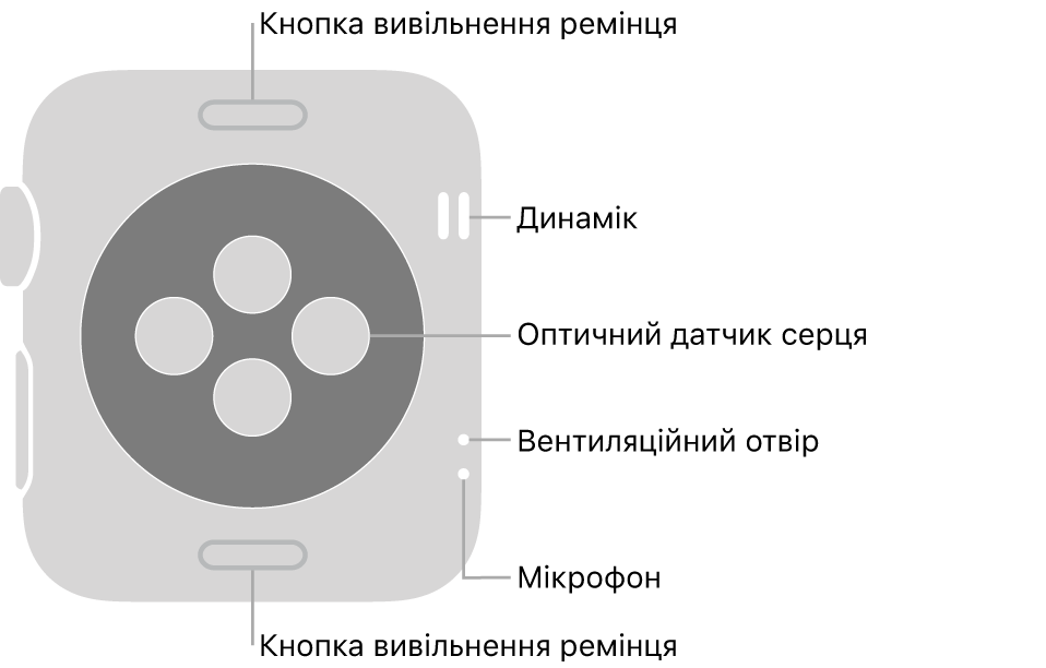 Задня панель Apple Watch Series 3 із кнопками вивільнення ремінця вгорі та внизу, оптичними датчиками серця посередині, а також динаміком, вентиляційним отвором та мікрофоном у порядку згори донизу біля бічної панелі.